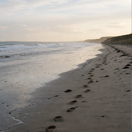 A wide beach at low tide with footprints in the sand
