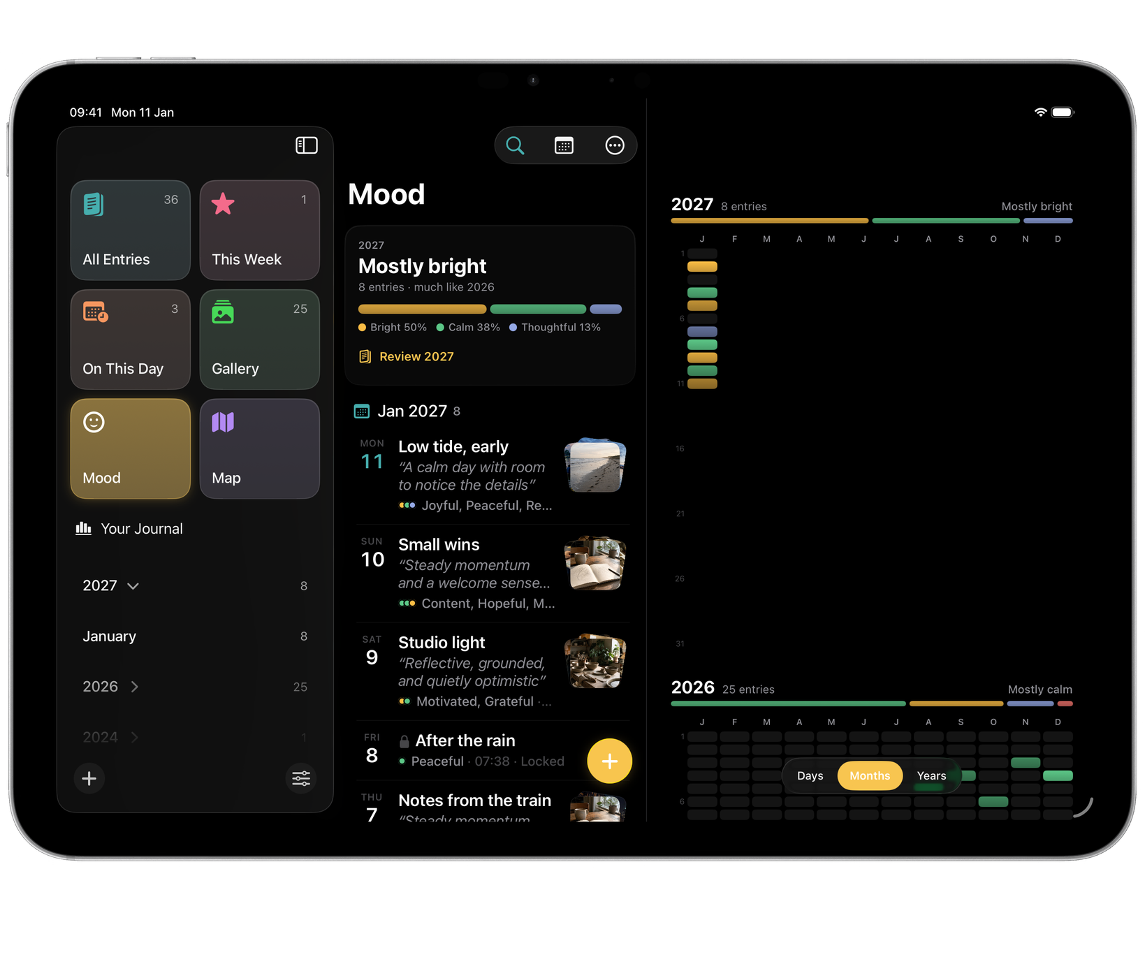 Echo on iPad: Mood by month, the year as coloured days beside its summary